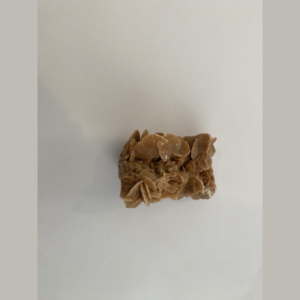 Desert rose